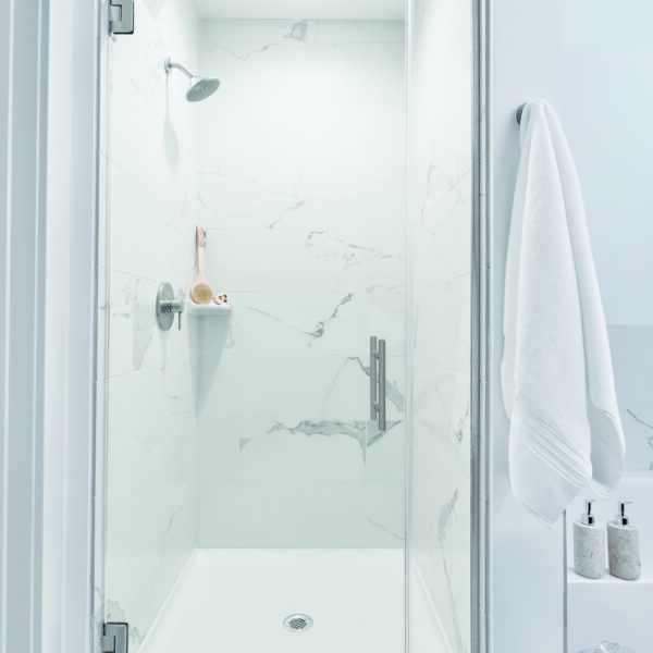 Infinity Frameless Shower Door - Biscayne Handle, Brushed Nickel